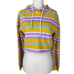 Flirtitude Pastel Cropped Hoodie